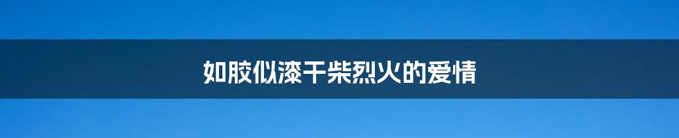如胶似漆干柴烈火的爱情