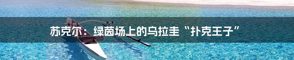 苏克尔：绿茵场上的乌拉圭“扑克王子”