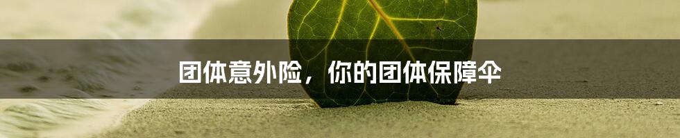 团体意外险,你的团体保障伞