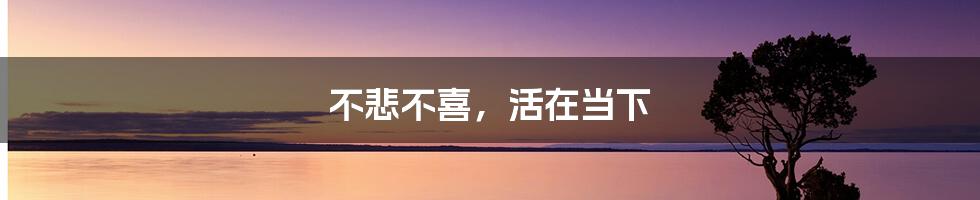 不悲不喜,活在当下
