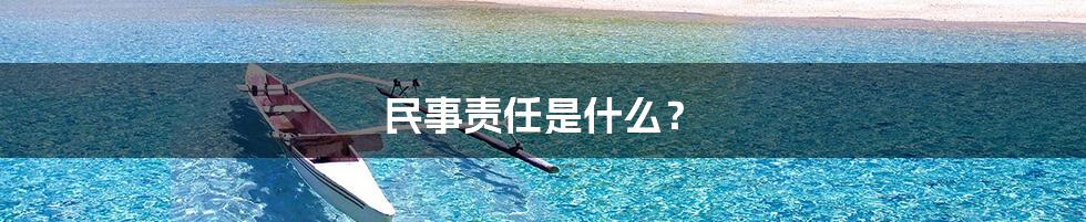 民事责任是什么?