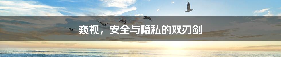 窥视,安全与隐私的双刃剑