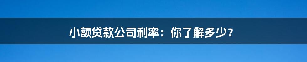 小额贷款公司利率:你了解多少?