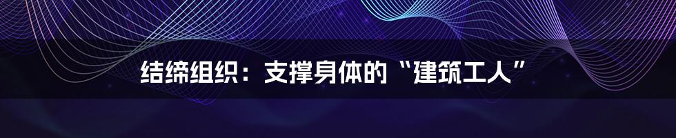 结缔组织：支撑身体的“建筑工人”