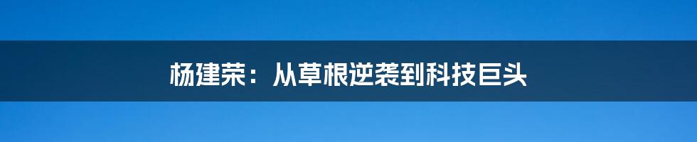 杨建荣:从草根逆袭到科技巨头