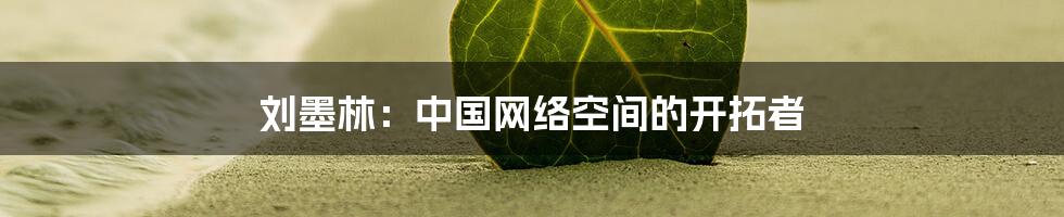 刘墨林:中国网络空间的开拓者