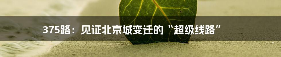 375路:见证北京城变迁的“超级线路”