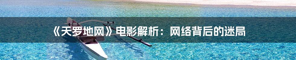 《天罗地网》电影解析:网络背后的迷局