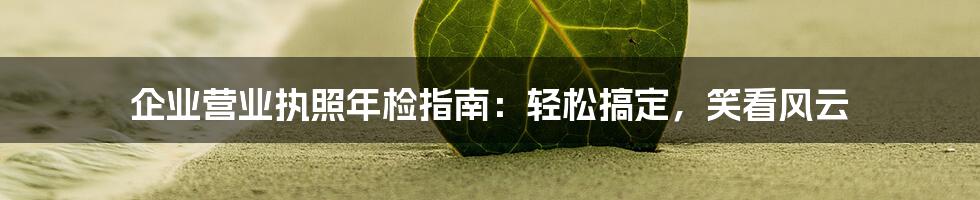 企业营业执照年检指南:轻松搞定,笑看风云