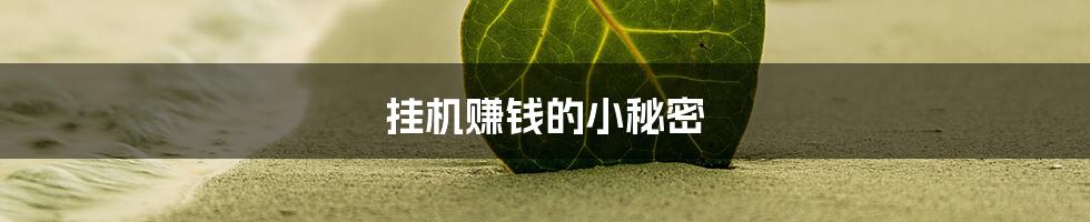 挂机赚钱的小秘密