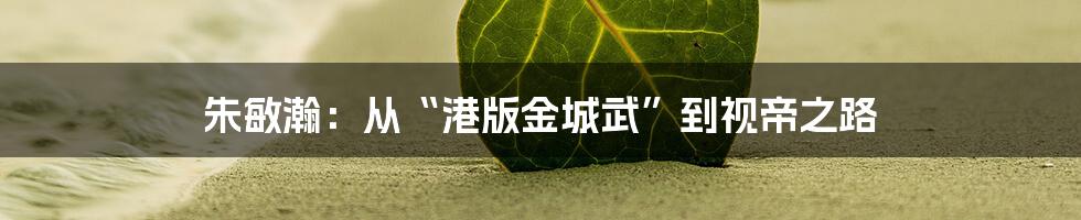 朱敏瀚:从“港版金城武”到视帝之路