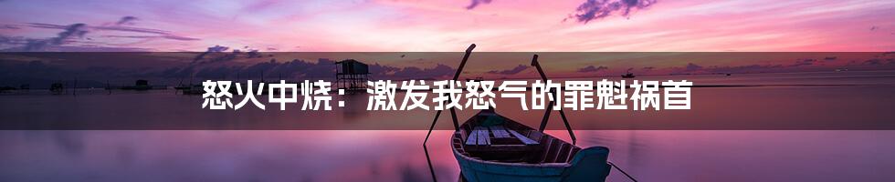 怒火中烧:激发我怒气的罪魁祸首