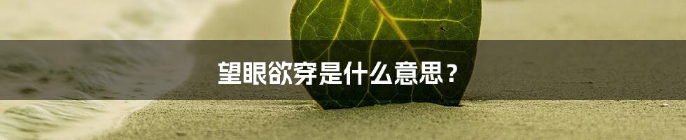 望眼欲穿是什么意思?