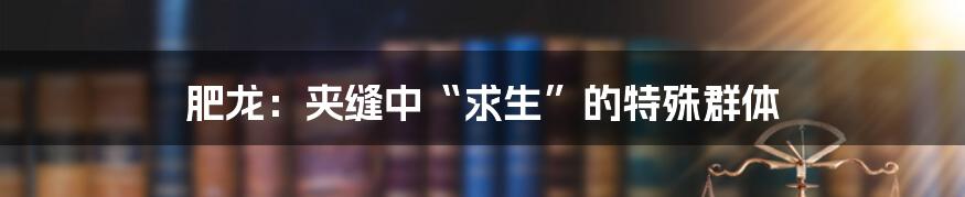 肥龙:夹缝中“求生”的特殊群体
