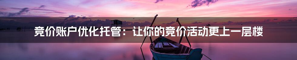 竞价账户优化托管:让你的竞价活动更上一层楼