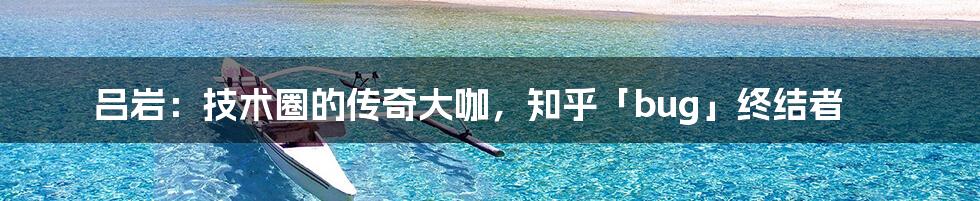 吕岩:技术圈的传奇大咖,知乎「bug」终结者