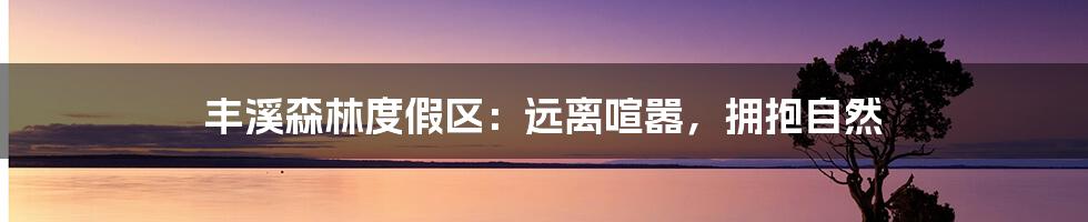 丰溪森林度假区:远离喧嚣,拥抱自然