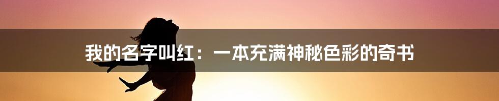 我的名字叫红：一本充满神秘色彩的奇书