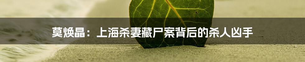 莫焕晶:上海杀妻藏尸案背后的杀人凶手