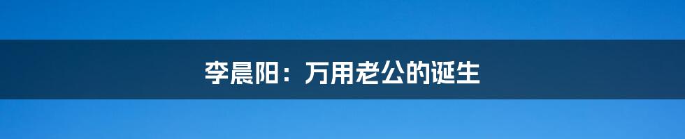 李晨阳:万用老公的诞生