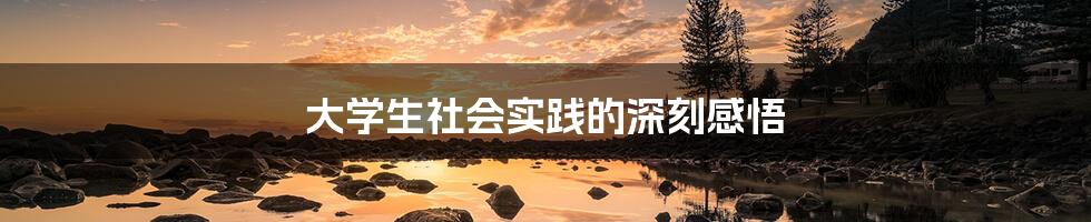 大学生社会实践的深刻感悟