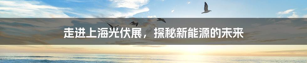 走进上海光伏展，探秘新能源的未来