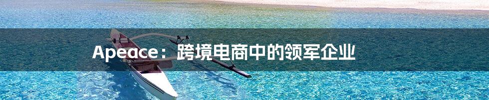 Apeace：跨境电商中的领军企业