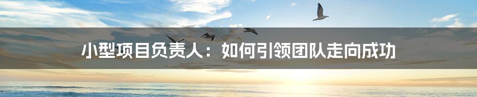小型项目负责人:如何引领团队走向成功
