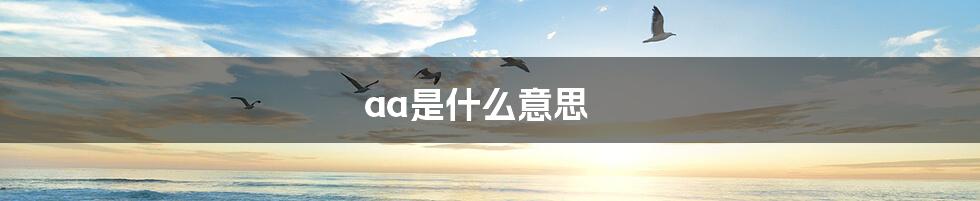 aa是什么意思