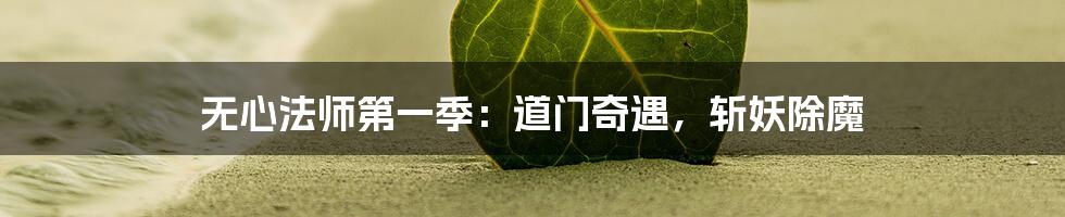 无心法师第一季:道门奇遇,斩妖除魔