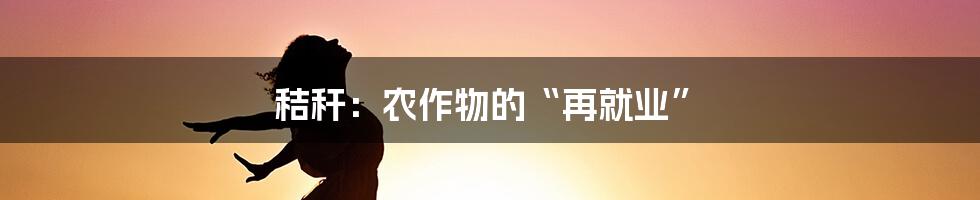 秸秆:农作物的“再就业”