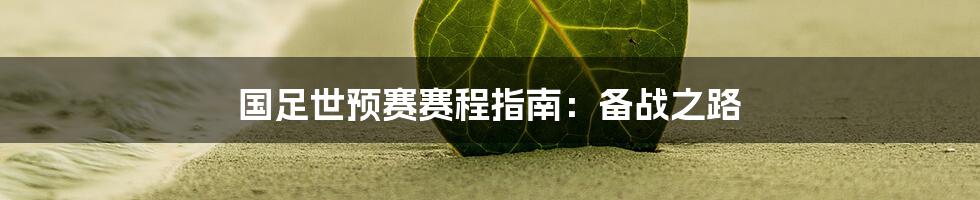国足世预赛赛程指南:备战之路