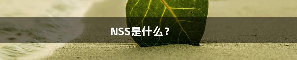NSS是什么?