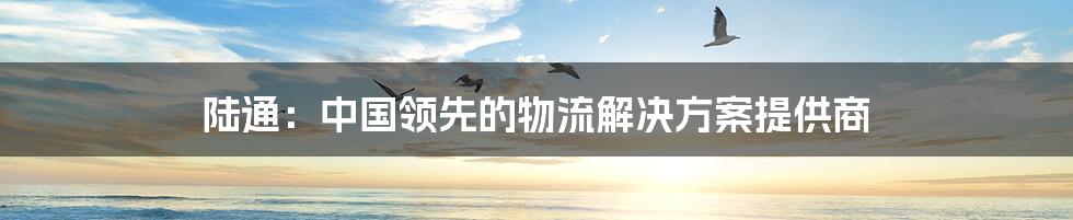 陆通:中国领先的物流解决方案提供商