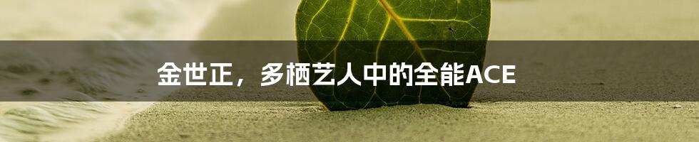 金世正,多栖艺人中的全能ACE