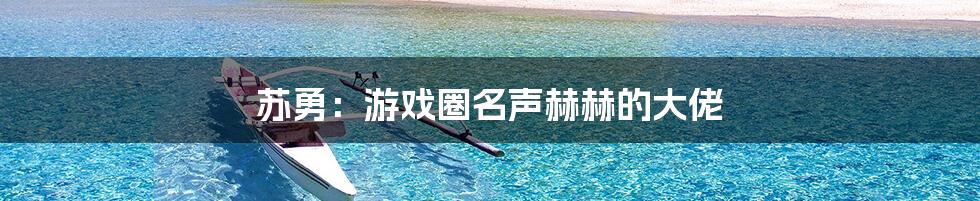 苏勇：游戏圈名声赫赫的大佬