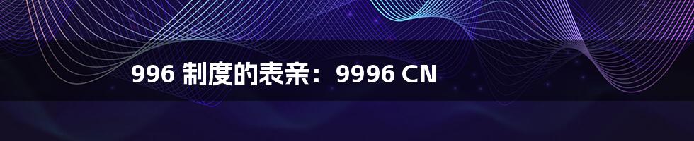 996 制度的表亲：9996 CN