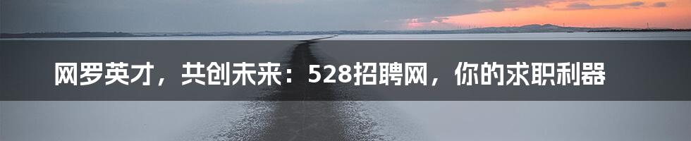 网罗英才,共创未来:528招聘网,你的求职利器