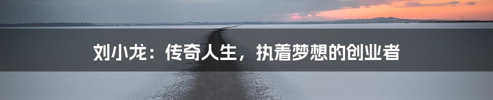 刘小龙:传奇人生,执着梦想的创业者