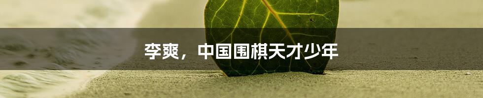 李爽,中国围棋天才少年