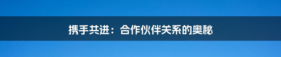 携手共进:合作伙伴关系的奥秘