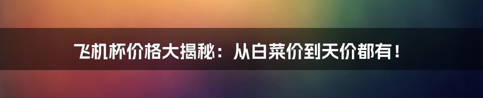 飞机杯价格大揭秘:从白菜价到天价都有!