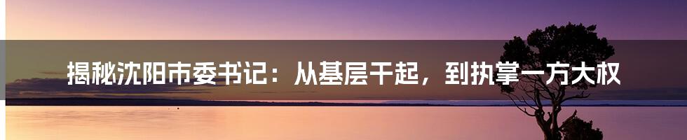 揭秘沈阳市委书记:从基层干起,到执掌一方大权