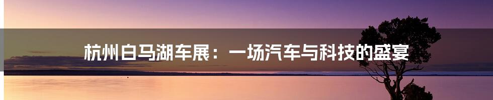杭州白马湖车展:一场汽车与科技的盛宴