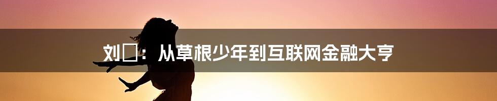 刘喆:从草根少年到互联网金融大亨