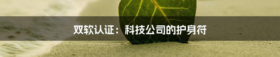 双软认证:科技公司的护身符