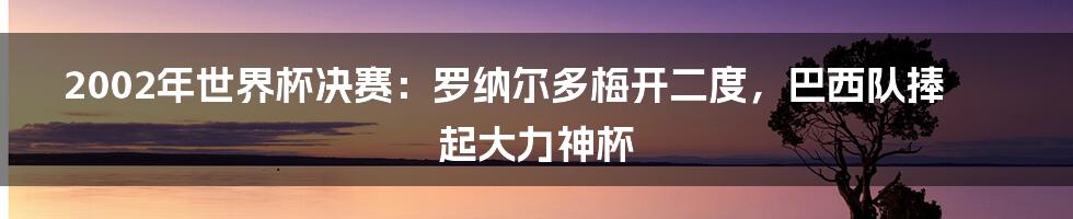 2002年世界杯决赛：罗纳尔多梅开二度，巴西队捧起大力神杯