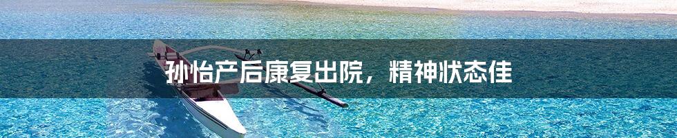 孙怡产后康复出院,精神状态佳