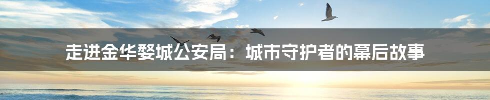 走进金华婺城公安局:城市守护者的幕后故事