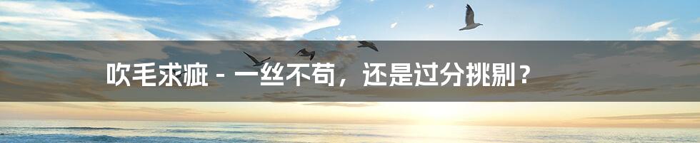 吹毛求疵 - 一丝不苟,还是过分挑剔?